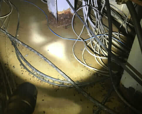 Bio-One of Bethesda is the right team for the job